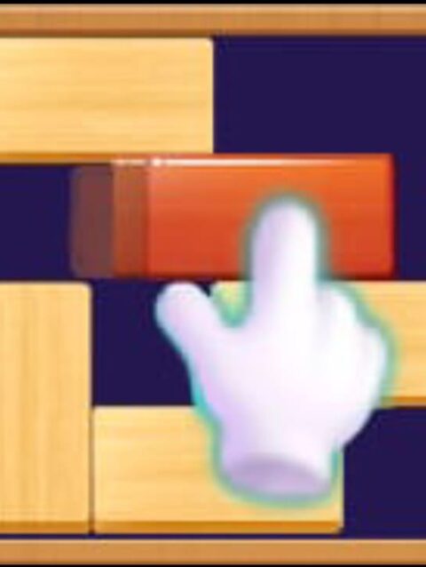 Slide The Block Puzzle
