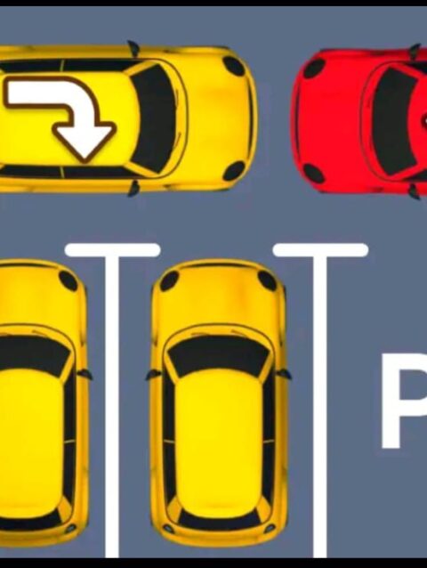Car Jam 3D